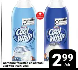 Pasquier Garniture fouettée en aérosol Cool Whip offer