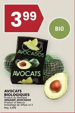 Rachelle-Bery Grocery ORGANIC AVOCADOS offer