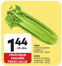 Giant Tiger Celery offer