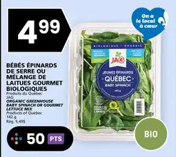 Rachelle-Bery Grocery JAG ORGANIC GREENHOUSE BABY SPINACH OR GOURMET LETTUCE MIX offer