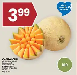 Rachelle-Bery Grocery CANTALOUPE offer