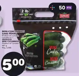 Marches Tradition SEEDLESS MINI CUCUMBERS offer