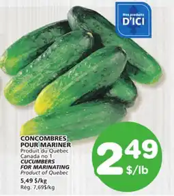 Marches Tradition CUCUMBERS FOR MARINATING offer