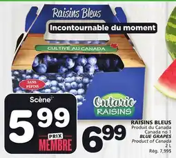Marches Tradition BLUE GRAPES offer