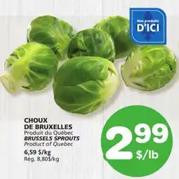 Marches Tradition BRUSSELS SPROUTS offer
