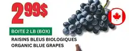 Marches Tau RAISINS BLEUS BIOLOGIQUES offer