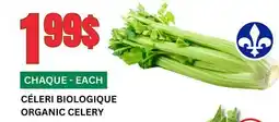 Marches Tau CÉLERI BIOLOGIQUE offer