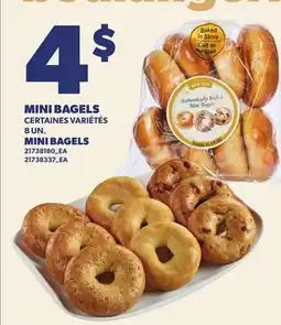 Provigo MINI BAGELS, 8 UN. | MINI BAGELS offer
