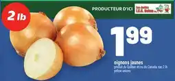 Metro OIGNONS JAUNES | YELLOW ONIONS offer
