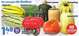 Metro COURGES | SQUASHES offer