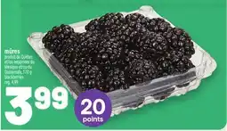 Metro MÛRES | BLACKBERRIES offer