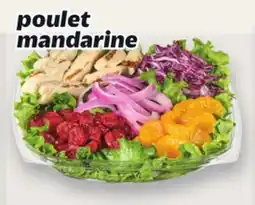Metro POULET MANDARINE offer