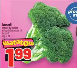 Metro BROCOLI | BROCCOLI offer