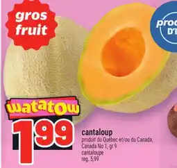 Metro CANTALOUP | CANTALOUPE offer