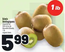 Metro KIWIS BIOLOGIQUES | ORGANIC KIWIS offer