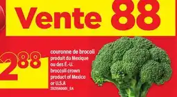 Maxi COURONNE DE BROCOLI | BROCCOLI CROWN offer