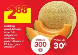 Maxi CANTALOUP | CANTALOUPE offer