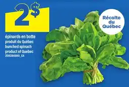 Maxi ÉPINARDS EN BOTTE | BUNCHED SPINACH offer
