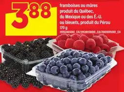 Maxi FRAMBOISES OU MÛRES offer