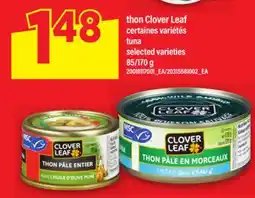 Maxi THON CLOVER LEAF | TUNA, 85/170 G offer