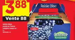 Maxi RAISINS BLEUS offer