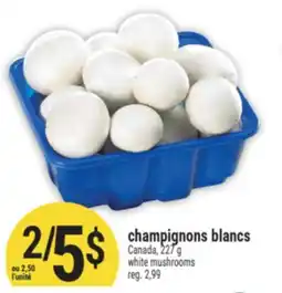 Marché Adonis CHAMPIGNONS BLANCS | WHITE MUSHROOMS offer