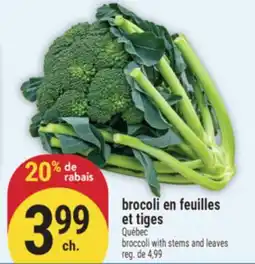 Marché Adonis BROCOLI EN FEUILLES ET TIGES | BROCCOLI WITH STEMS AND LEAVES offer