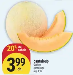 Marché Adonis CANTALOUP | CANTALOUPE offer