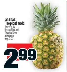 Super C ananas Tropical Gold | TropicalGold pineapple offer