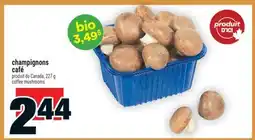 Super C champignons café | coffee mushrooms offer