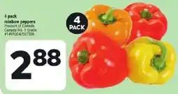 Giant Tiger rainbow peppers offer