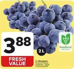 Giant Tiger fresh value blue grapes offer