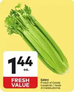 Giant Tiger Celery offer