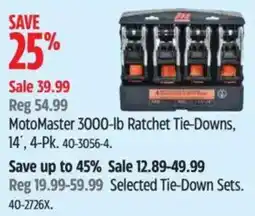 Canadian Tire Motomaster 3000-lb ratchet tie-downs offer
