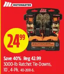 Canadian Tire Motomaster 3000-lb Ratchet Tie-Downs offer