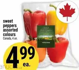 Marché Adonis sweet peppers assorted colours offer