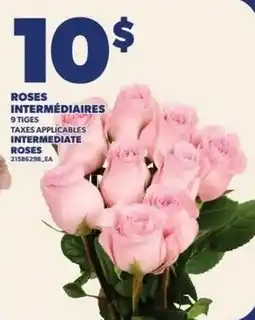 Provigo Intermediate roses offer