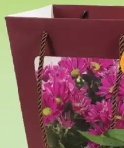 IGA FLOWERING POT offer