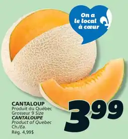 IGA CANTALOUPE offer