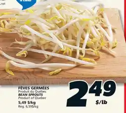 IGA BEAN SPROUTS offer