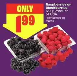 Chalo FreshCo Raspberries or Blackberries offer