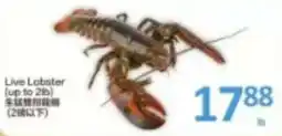 PriceSmart foods Live Lobster offer