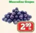Nations Fresh Foods Muscadine Grapes offer