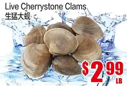 Fusion Supermarket Live Cherrystone Clams offer