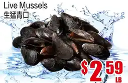 Fusion Supermarket Live Mussels offer