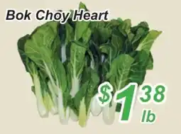 Golden Fresh Market Bok Choy Heart offer