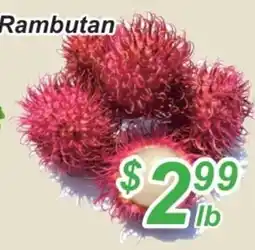 Golden Fresh Market Rambutan offer