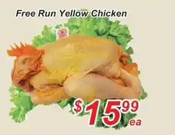 Golden Fresh Market Free Run Yellow Chicken offer