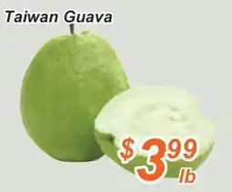 Golden Fresh Market Taiwan Guava offer
