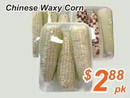 Golden Fresh Market Chinese Waxy Corn offer